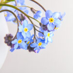 3d开奖结果198期最新精准号码已公布 09vbjn