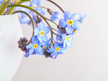 3d开奖结果198期最新精准号码已公布 3d开奖结果198期最新精准号码已公布