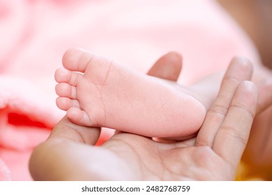 2015年欧洲冠军联赛决赛巅峰对决全程直播 2015年欧洲冠军联赛决赛巅峰对决全程直播