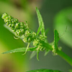 2015年开奖现场直播全程高清实况回放 3x5ut55