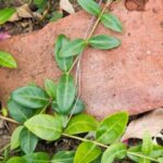 3d开奖结果17500最新精准开奖号码查询 7r43c6