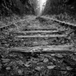 3d开奖结果247期最新精准号码已公布 cafuzvlt8