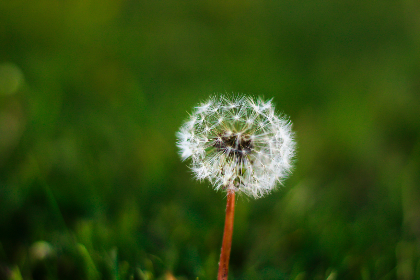 2015年阅兵式直播:纪念抗战胜利70周年大阅兵 2015年阅兵式直播:纪念抗战胜利70周年大阅兵