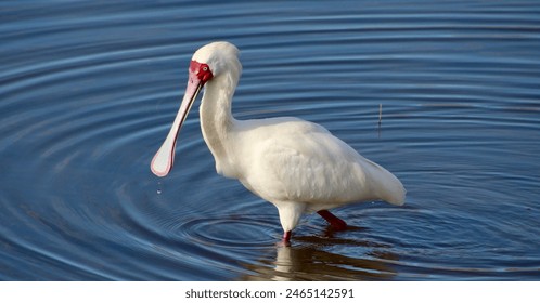 2015年世界女排联赛精彩赛事全程直播 2015年世界女排联赛精彩赛事全程直播