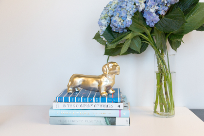 2015年女排世界杯中日决战直播全程回顾 2015年女排世界杯中日决战直播全程回顾