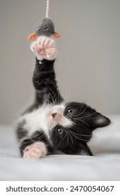 2015年澳网公开赛全程高清直播尽在爱奇艺 2015年澳网公开赛全程高清直播尽在爱奇艺